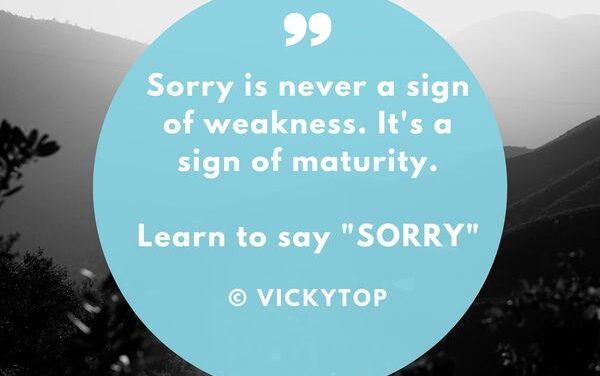 Learn To Say Sorry