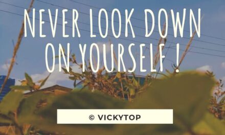 Never Look Down On Yourself